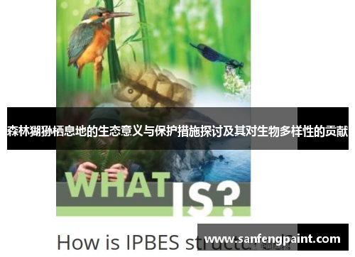 森林猢狲栖息地的生态意义与保护措施探讨及其对生物多样性的贡献